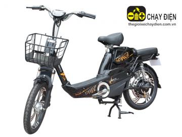 Xe đạp điện Anbico AP1503