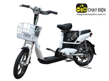 Xe đạp điện Anbico Ap1705