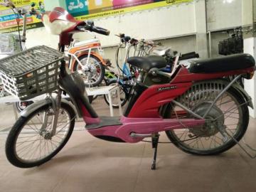 Xe đạp điện Asama cũ