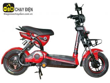 Xe đạp điện M133 Victoria