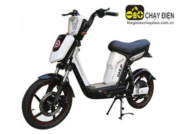 Xe đạp điện Pega Cap A9