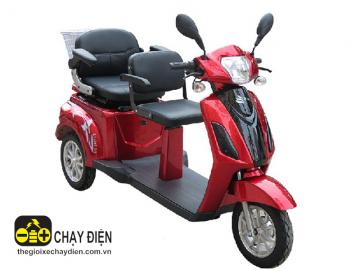 Xe điện 3 bánh 2 chỗ ngồi