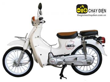 Xe máy Espero Cub 81 vành đúc