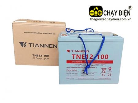 Ắc quy Thiên Năng TNE12-100 12V 100Ah