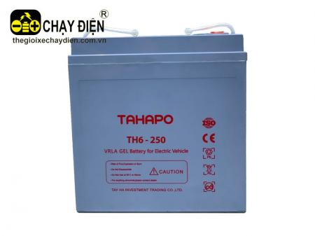Ắc quy xe điện TAHAPO TH6-250 (6V – 250Ah)