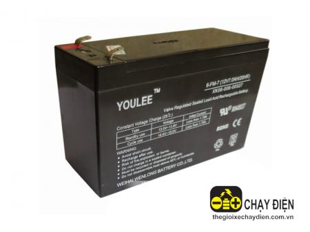 Ắc quy xe điện trẻ em Youlee 12V 7Ah