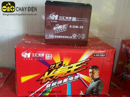 Ắc quy xe máy điện Cửu Hội (12V - 30A)
