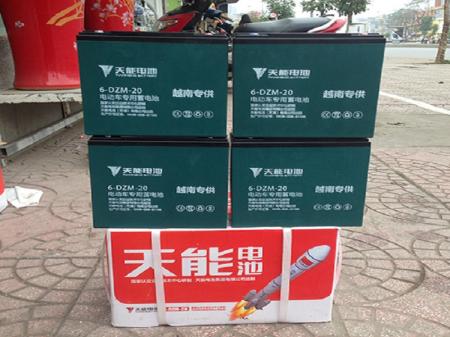Ắc quy xe máy điện 12v-20a Tianneng