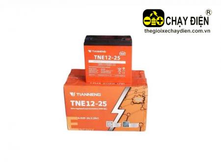 Ắc quy xe máy điện TNE 12V 25AH