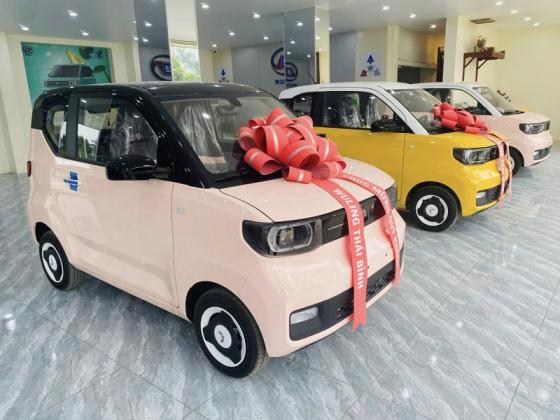 Những sai lầm phổ biến khi mua ô tô điện giá rẻ