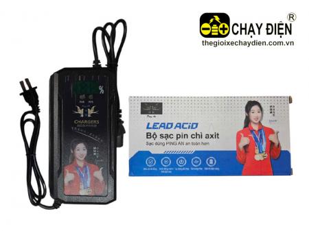 Sạc xe đạp điện Smart S4820