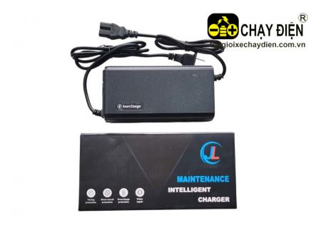 Sạc xe điện Smart V1 Pro 48V 20Ah