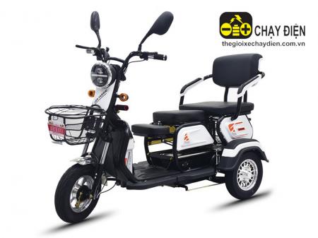 Xe 3 bánh điện EV V4
