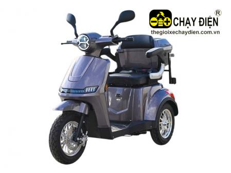 Xe 3 bánh điện FJ