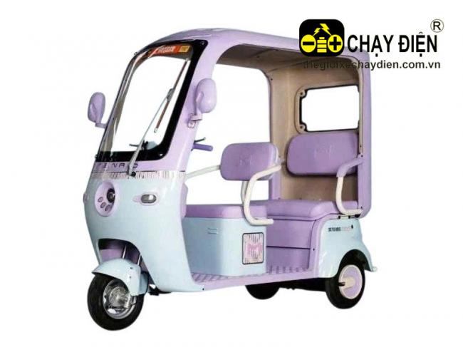 Xe 3 bánh điện mái che Vnbike J2 Tím