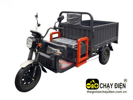 Xe 3 bánh điện nhập khẩu PT 800kg