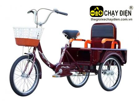 Xe đạp 3 bánh Smart HN1