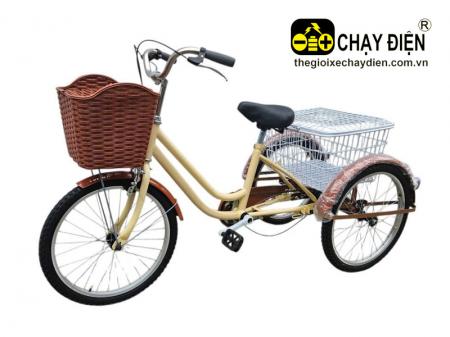 Xe đạp ba bánh cho người già Smart H2