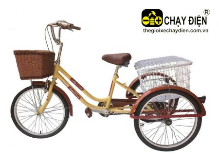 Xe đạp ba bánh cho người già Smart H2