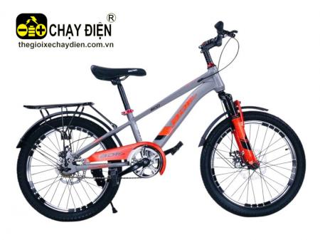 Xe đạp DBF 031