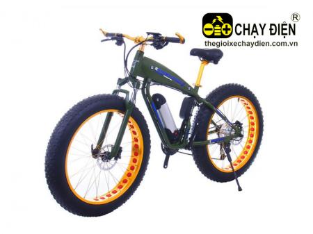 Xe đạp địa hình bánh béo trợ lưc điện Smart B1