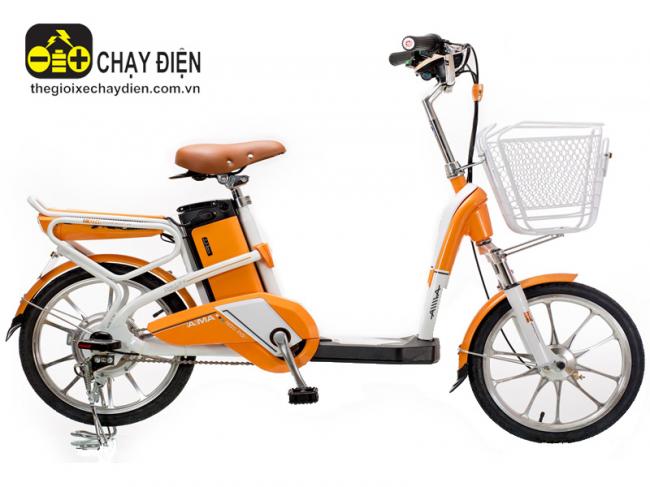 Xe đạp điện Aima ED318 Cam
