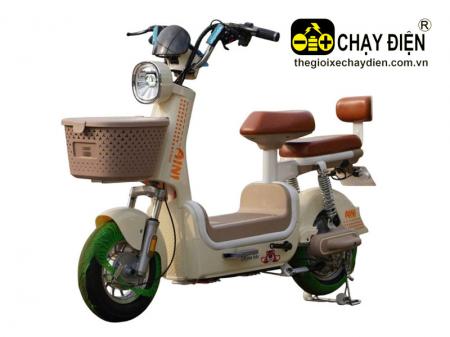 Xe đạp điện Aini
