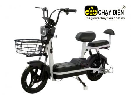 Xe đạp điện Aiyo T2