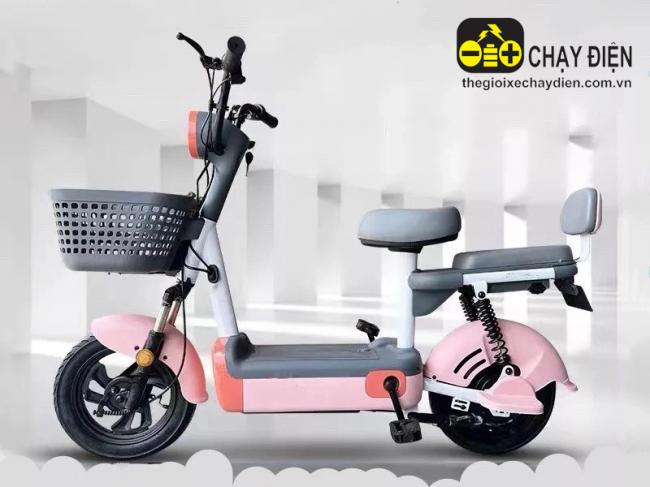 Xe đạp điện D4 Đồng