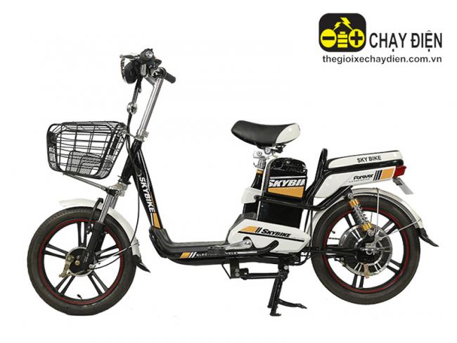 Xe đạp điện DTP Skybike Đen trắng