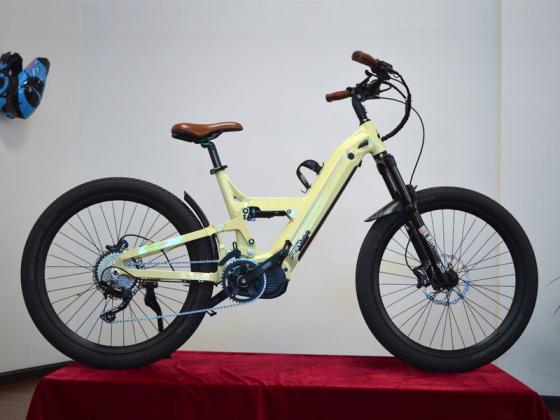 Xe đạp điện FREY CC: Xe đạp điện đi lại hiệu suất ấn tượng