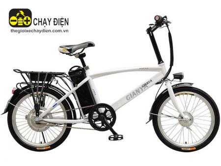 Xe đạp điện Gianya 03