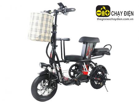 Xe đạp điện nhập khẩu THELI 03 10Ah