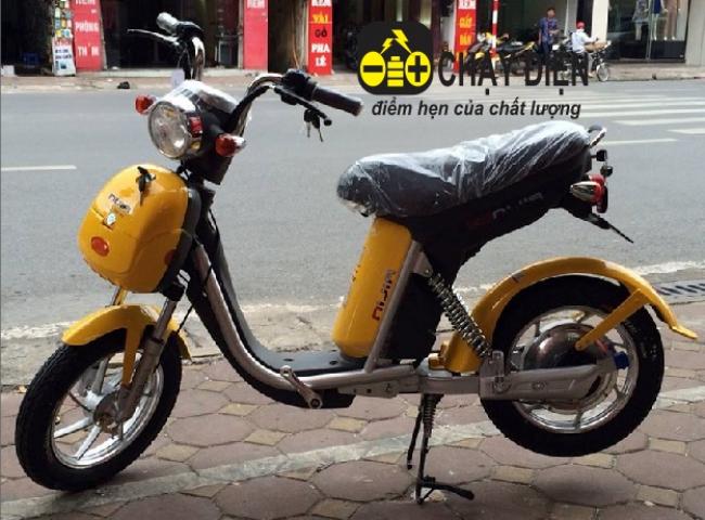 Xe đạp điện Nijia lốp liền săm 2014 Vàng