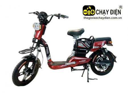 Xe đạp điện Sonsu S168