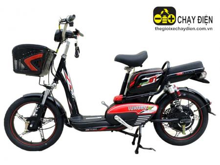Xe đạp điện TH CEO Luxury Eco 01