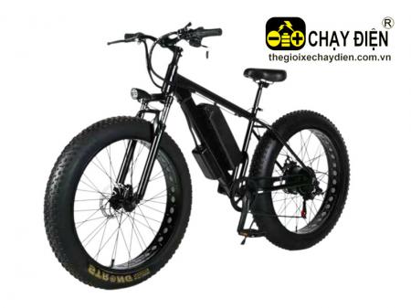 Xe đạp điện trợ lực bánh béo Smart B2