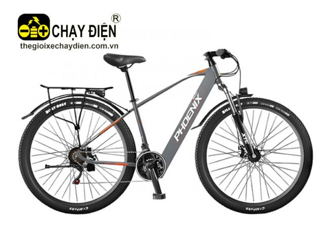 Xe đạp điện trợ lực Phoenix 599 Xám