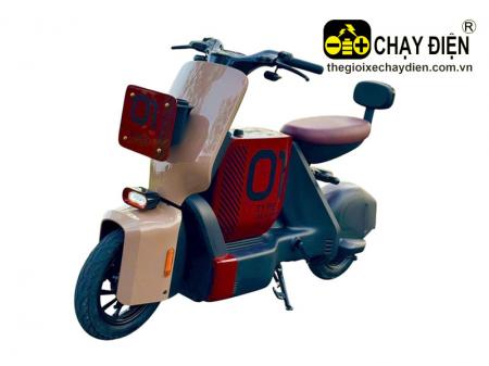 Xe đạp điện TYPE1