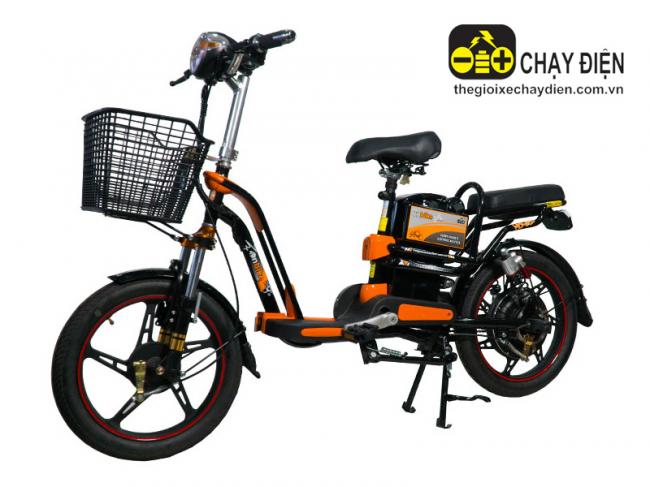 Xe đạp điện Vnbike V4 Cam đen