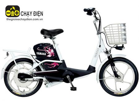 Xe đạp điện YAMAHA ICATS H4