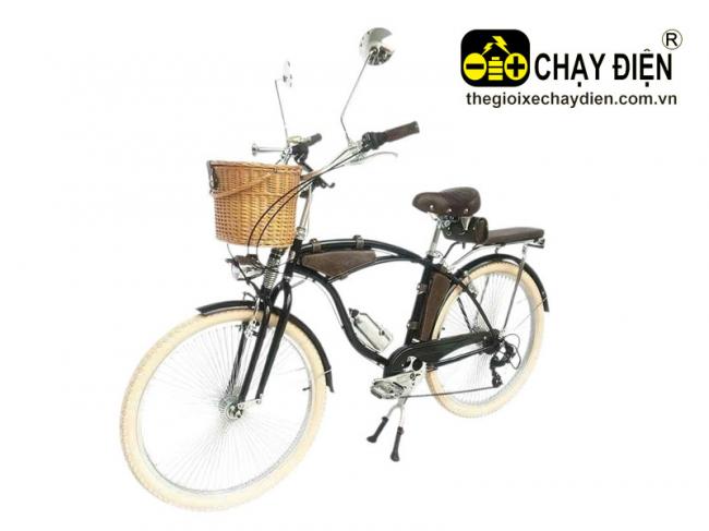 Xe đạp phong cách cổ ARS01 Nâu