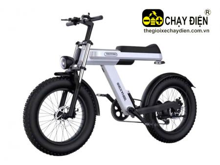 Xe đạp trợ lực Quickwheel C9
