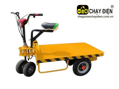 Xe đẩy điện Smart D1
