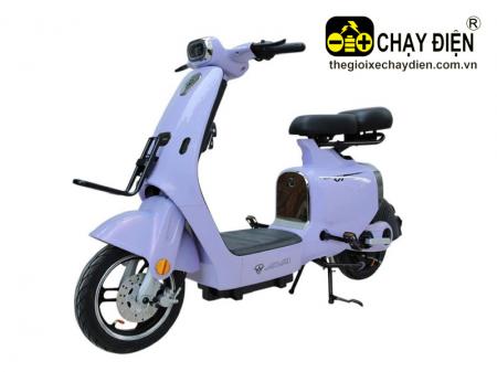 Xe điện AVA V1