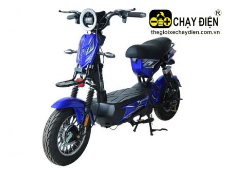 Xe điện AVA Z2 20AH