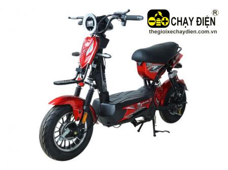 Xe điện AVA Z2