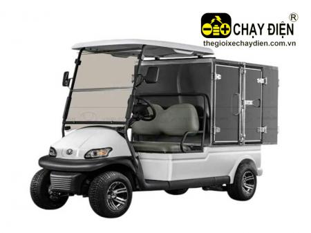 Xe điện chở hàng VNECAR A1S4+2K, 2 chỗ, thùng kín, trọng tải 500kg