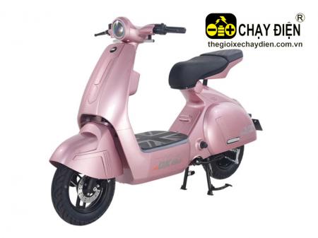 Xe điện DK V3