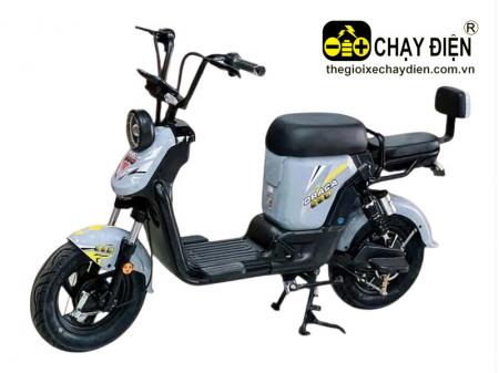 Xe điện DRACA S30